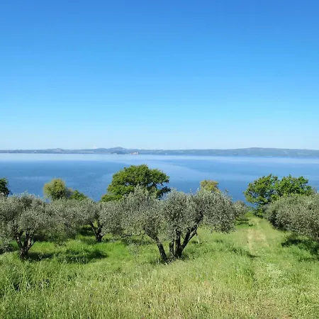 Podere Sant' Antonio-3 By Interhome Apartment